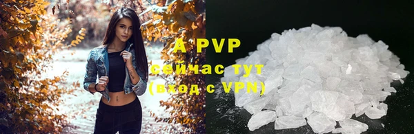 МДПВ Абаза